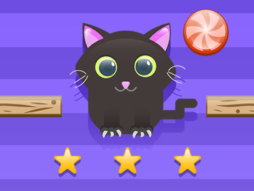 Cat Challenge Cover